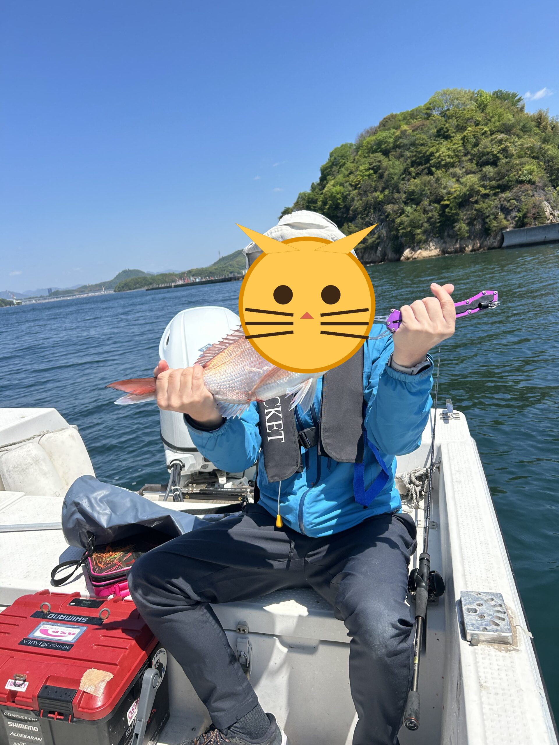 マダイ