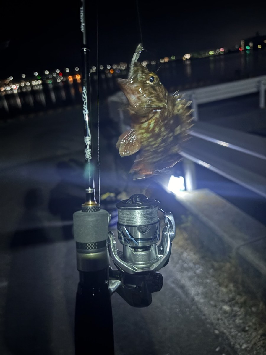 竿先に良型の根魚。リールはライトゲーム用の小型